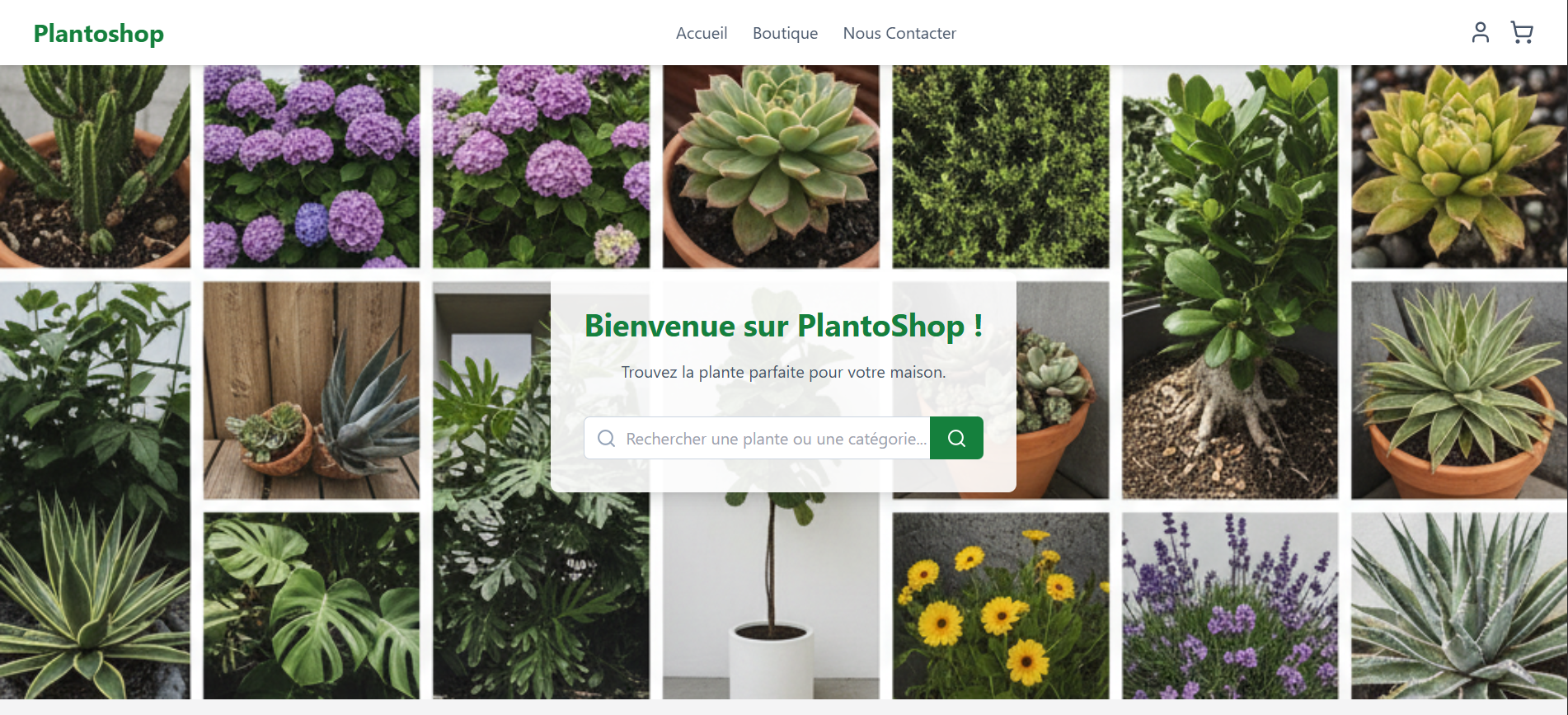 Image du projet Plantoshop